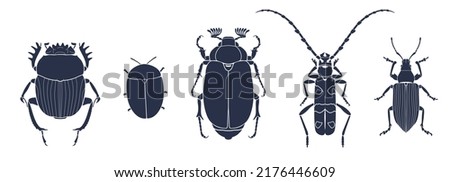 Beetles. Scarab, green leaf beetle, may bug, alpine barbel, weevil. Dark gray blue vector silhouettes of insects isolated on white background.