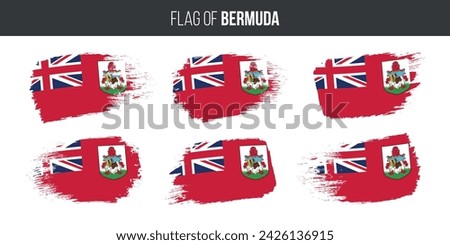 Bermuda flags brush stroke grunge vector illustration flag of bermuda isolated on white