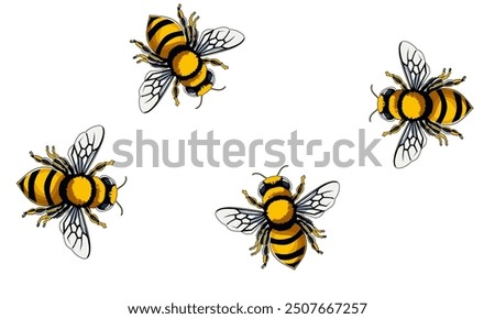 Honey Bee Icon Close Up Isolated on White Background. Queen Honey Bee Design Template