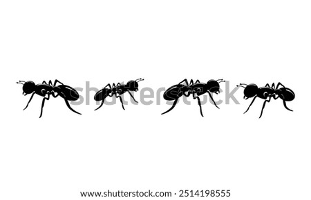 Similar – Image, Stock Photo Anthill Column of ants