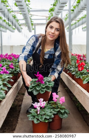 Florist woman working with flowers in a greenhouse.
