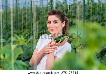 Happy Young woman holding cucumbers in a hothouse cultivated with green fresh cucumber plants.