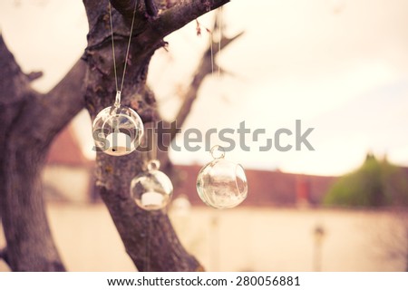 Glass ball hanging in a tree at a wedding reception.