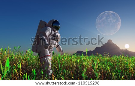 The astronaut on the green grass.