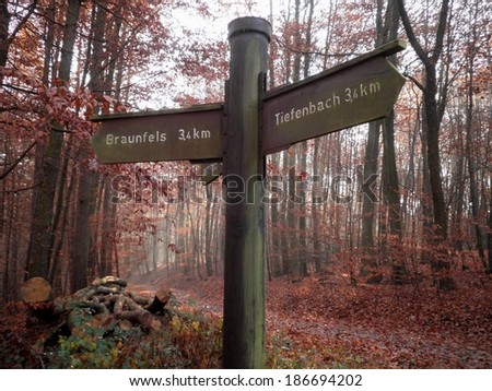 Crossroad sign in autumn trail in Germany.