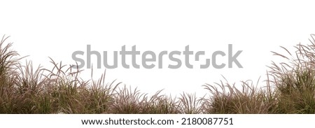 Similar – Image, Stock Photo Foreground of a dead stick, with a defocused bacground of a woman posing