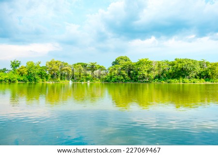 Reflection of sky at lagoon and tree wall,Thailand