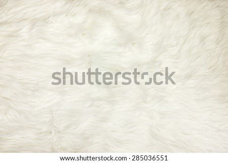 Close up at white fur fabric texture background.
