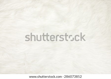 Close up at white fur fabric texture background.