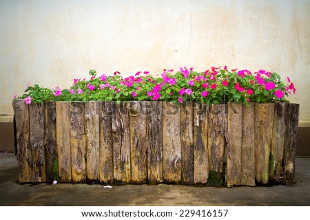 flowers in wooden pots