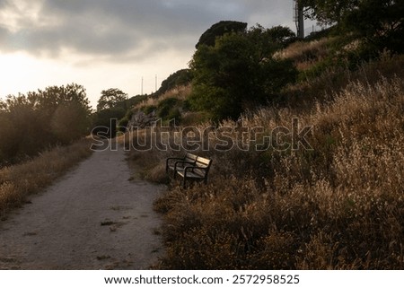 Similar – Image, Stock Photo Lonely benches in a park.