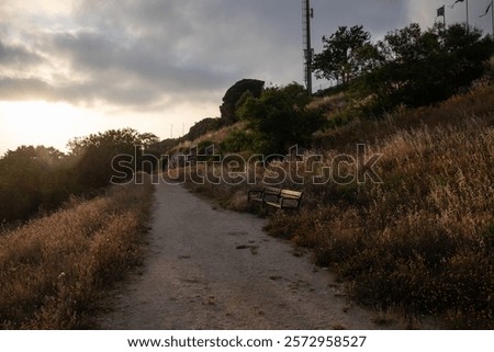 Similar – Image, Stock Photo Lonely benches in a park.