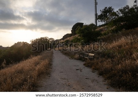 Similar – Image, Stock Photo Lonely benches in a park.