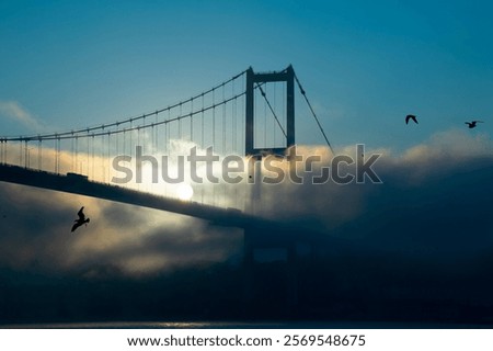 Similar – Image, Stock Photo Seagulls in the fog Autumn