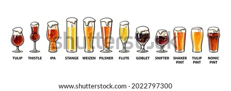Beer glassware guide. Various types of beer glasses. Hand drawn vector illustration isolated on white background.