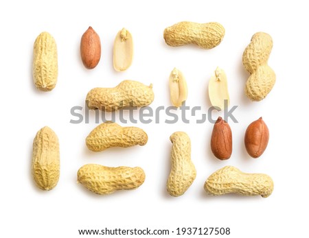 Flat lay of peanuts in nutshell, unpeeled and peeled peanuts isolated on white background. Top view.