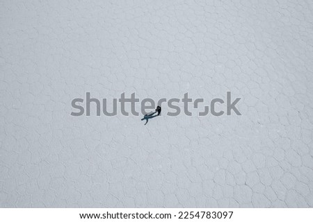 Similar – Image, Stock Photo Terrain vehicle at Salar de uyuni salt flat in Bolivia