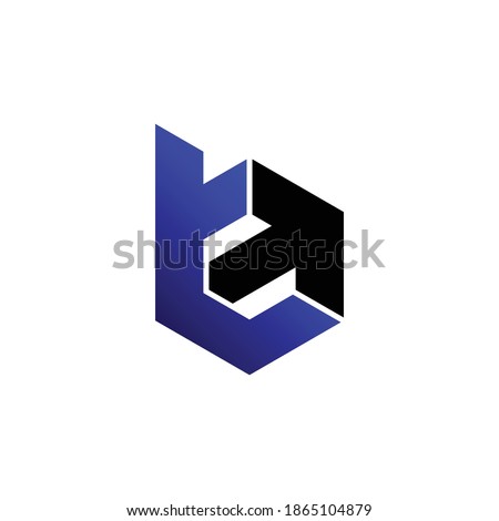 Letter BT hexagon logo design vector