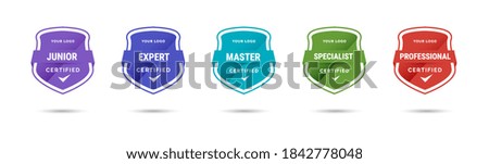 Certified badge logo design for company training badge. Certificates to determine based on criteria. Standard verified colorful modern vector illustration.