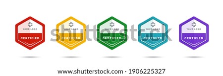 Set of company training badge certificates to determine based on criteria. Vector illustration certified logo design.