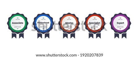 digital certification logo for training, competition, rewards, standards, and criteria etc. Certified badge icon with ribbon vector illustration.
