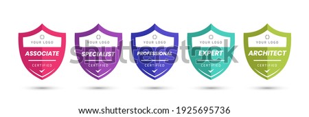 Certified logo badge with shield shape vector. Digital certificates of criteria levels. Vector security icon template.