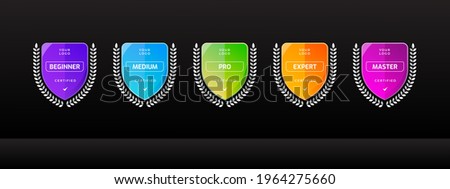 Tournament badge logo template for sports competition. Digital business certified technology icon. Vector illustration.