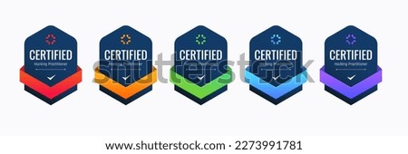 Certified Badge Design for Hacking Practitioners. Professional Computer Security Certifications Based on Criteria.