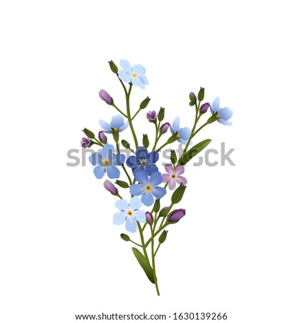 Dcd Prch Forget Me Not Flower Flowers Clip Art Forget Me Not Clipart Stunning Free Transparent Png Clipart Images Free Download