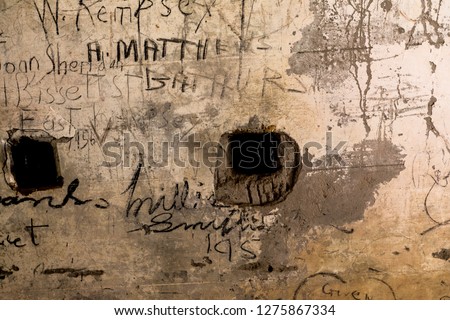 Similar – Image, Stock Photo Orange peels on cobblestones