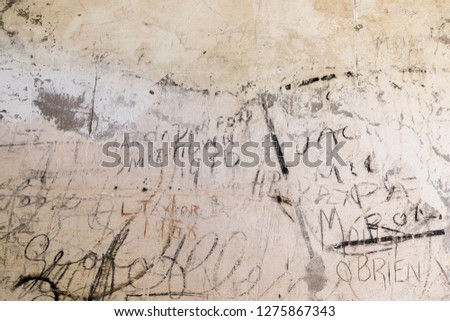 Similar – Image, Stock Photo Orange peels on cobblestones