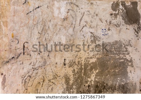 Similar – Image, Stock Photo Orange peels on cobblestones