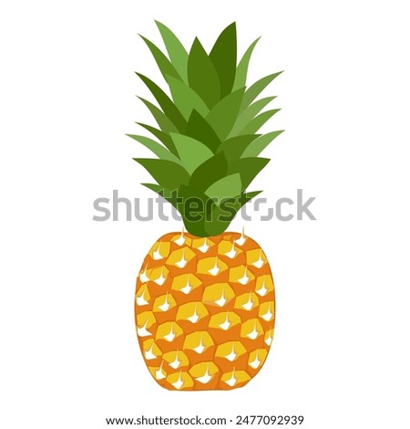 pineapple fruit vector. pineapple fruit vector collection. pineapple fruit illustration in flat style. fresh summer fruit.