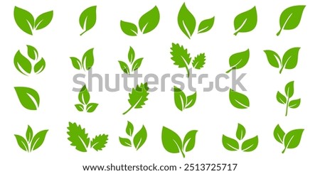 Green leaf icon in flat style, on white background. leaf icon set. nature icon, leaf vector illustration.