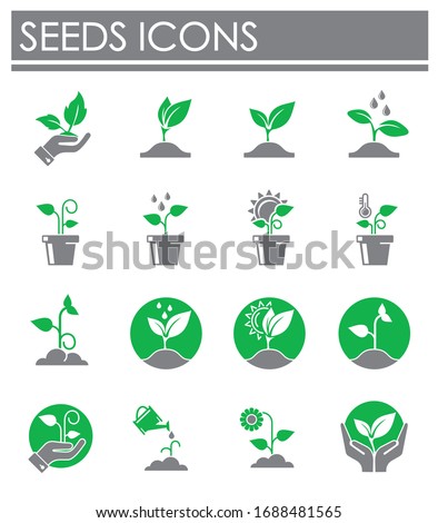 Seed related icons set on background for graphic and web design. Creative illustration concept symbol for web or mobile app.