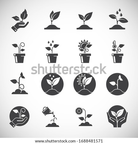 Seed related icons set on background for graphic and web design. Creative illustration concept symbol for web or mobile app.