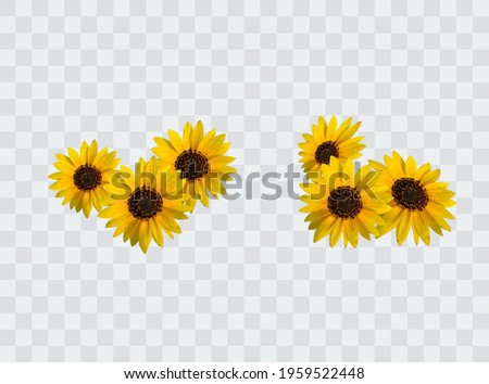Free Free 125 Realistic High Resolution Sunflower Svg SVG PNG EPS DXF File