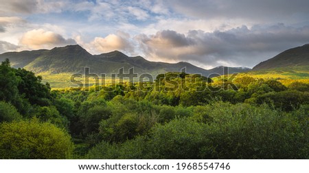 Green forest and mountain range illuminated by golden sunlight at sunrise, MacGillycuddys Reeks mountains, Ring of Kerry, Ireland Stok fotoğraf © 