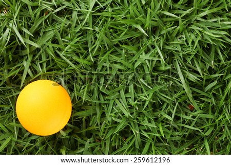 Table tennis ball orange color put on grass background represent the sport accessory material related.