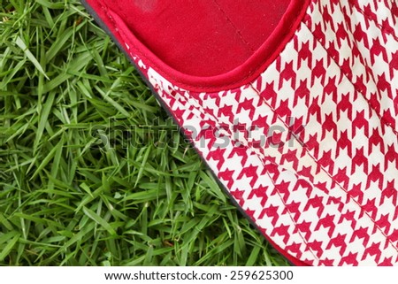 Low heeled slipper red and white color put on grass background represent the footwear related.