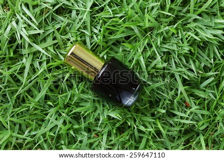 Nail color bottle for nail coloring put on grass background represent the manicure material related