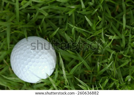 Golf ball pose on green grasses among sunset low light tone represent the golf sport concept and related idea.