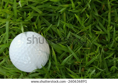 Golf ball pose on green grasses among sunset low light tone represent the golf sport concept and related idea.