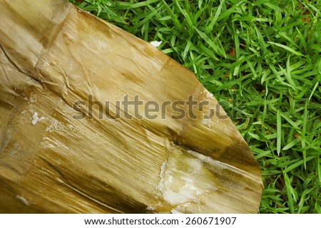 Steamed Banana Cake or Kanom Gluay empty packaging represent thai dessert and natural food packaging.