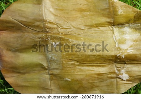 Steamed Banana Cake or Kanom Gluay empty packaging represent thai dessert and natural food packaging.