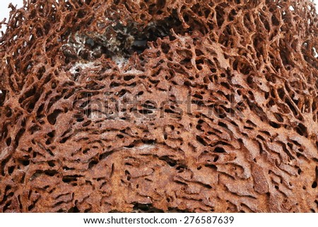 Termite nest texture surface background super macro shot represent the insect concept related idea.