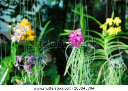 Blurry focus of flower scene among daytime natural light represent the natural concept related idea.