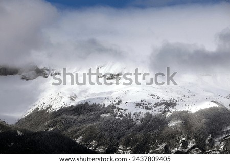 Similar – Foto Bild Nebelwand und Raureif im Erzgebirge