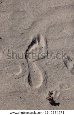 Similar – Image, Stock Photo smooth one Top marks 1