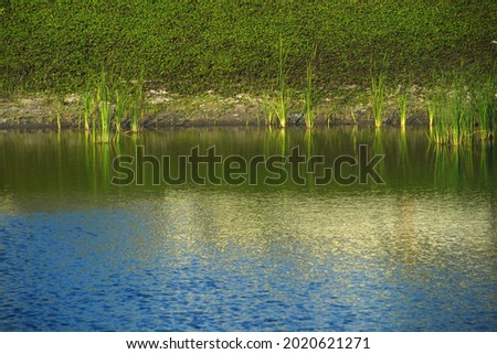 A beautiful view of trees and green grass reflecting on alake Stock fotó © 